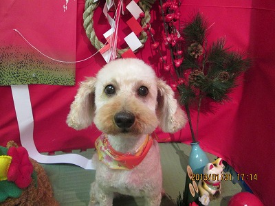 ファイル 6191-2.jpg