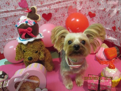 ファイル 6192-1.jpg