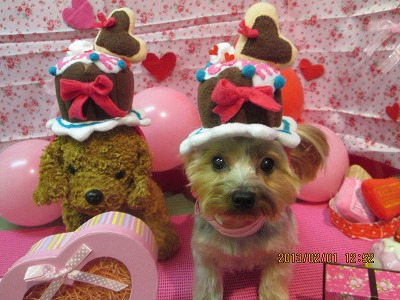 ファイル 6192-2.jpg