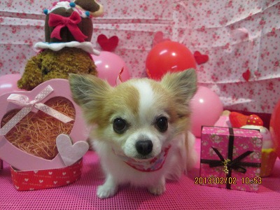 ファイル 6193-2.jpg