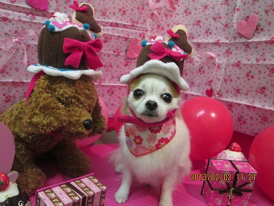 ファイル 6194-1.jpg