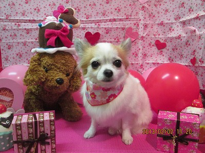 ファイル 6194-2.jpg