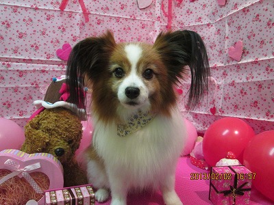 ファイル 6195-2.jpg