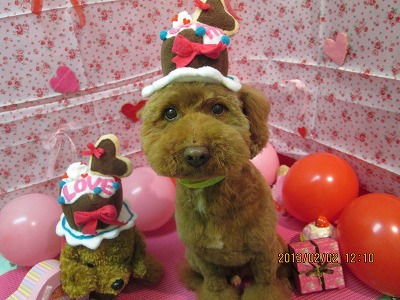 ファイル 6196-1.jpg