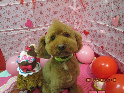 ファイル 6196-2.jpg