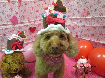 ファイル 6197-1.jpg