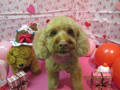 ファイル 6197-2.jpg