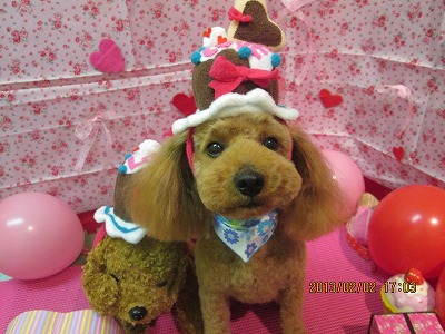 ファイル 6198-1.jpg