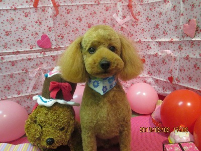 ファイル 6198-2.jpg