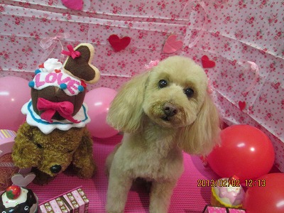 ファイル 6199-1.jpg