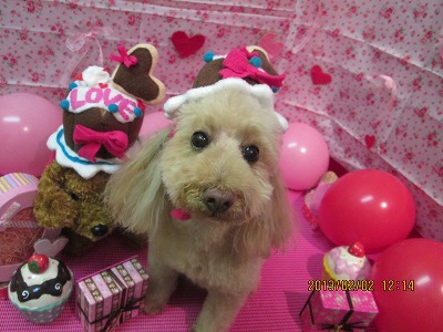 ファイル 6199-2.jpg