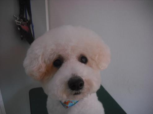 ファイル 62-1.jpg