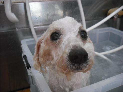 ファイル 62-2.jpg