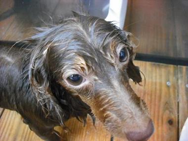 ファイル 620-2.jpg