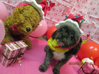 ファイル 6200-1.jpg