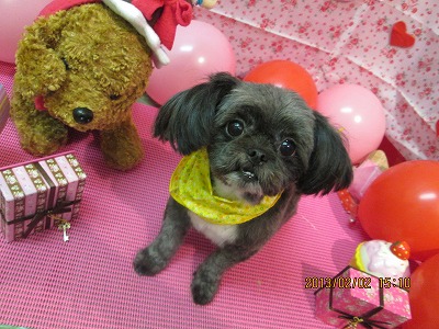 ファイル 6200-2.jpg