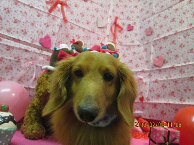 ファイル 6201-2.jpg