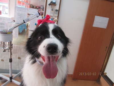 ファイル 6202-1.jpg