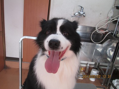 ファイル 6202-2.jpg