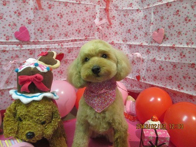 ファイル 6203-2.jpg