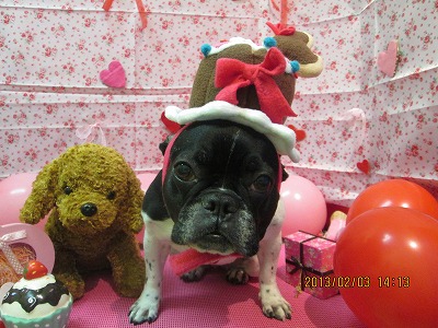 ファイル 6205-1.jpg