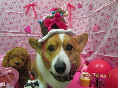 ファイル 6206-2.jpg