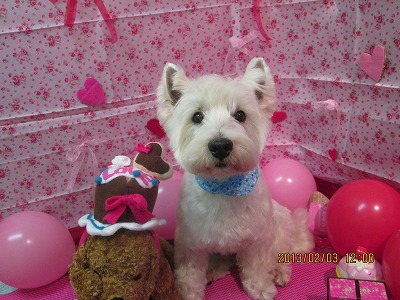 ファイル 6207-2.jpg