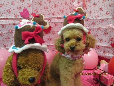 ファイル 6208-1.jpg