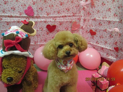 ファイル 6208-2.jpg