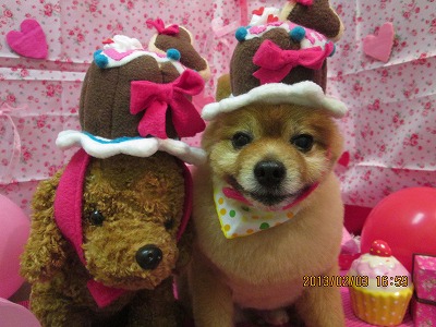 ファイル 6209-1.jpg