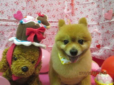 ファイル 6209-2.jpg