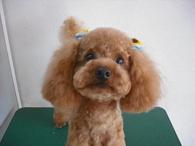 ファイル 621-1.jpg