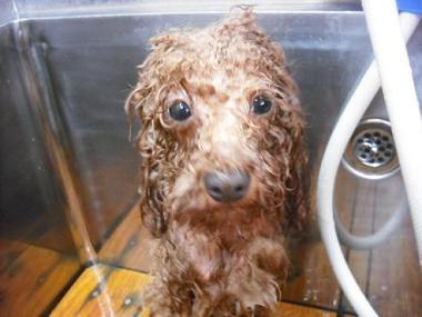 ファイル 621-2.jpg