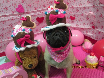 ファイル 6210-1.jpg