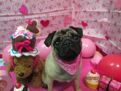 ファイル 6210-2.jpg