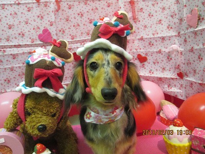 ファイル 6211-1.jpg