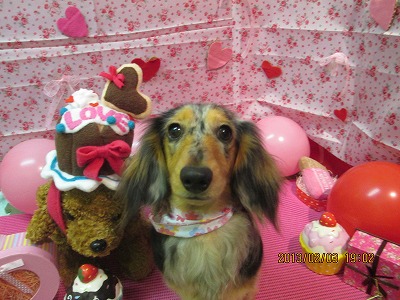 ファイル 6211-2.jpg