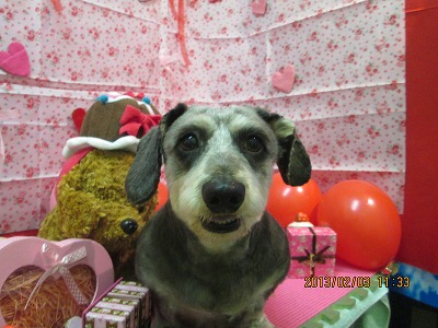 ファイル 6212-2.jpg