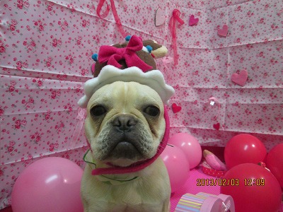 ファイル 6213-1.jpg