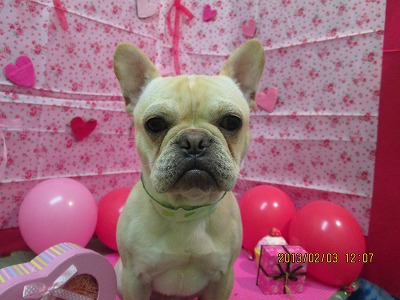 ファイル 6213-2.jpg