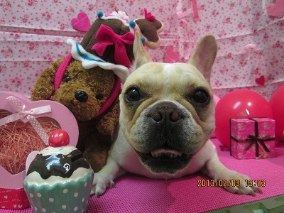 ファイル 6214-1.jpg