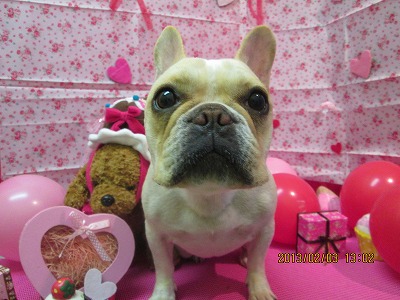 ファイル 6214-2.jpg