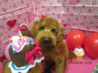 ファイル 6215-2.jpg