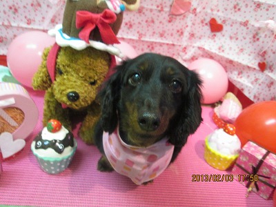 ファイル 6216-1.jpg