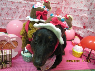 ファイル 6216-2.jpg