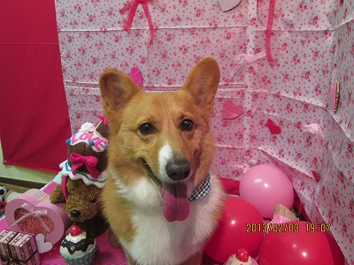 ファイル 6217-1.jpg