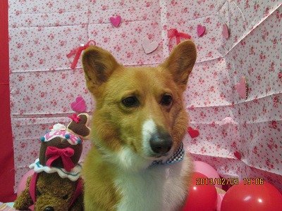 ファイル 6217-2.jpg