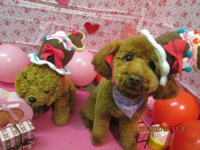 ファイル 6218-1.jpg