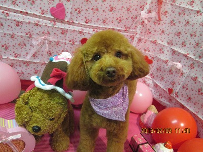 ファイル 6218-2.jpg