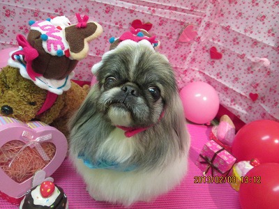 ファイル 6219-1.jpg